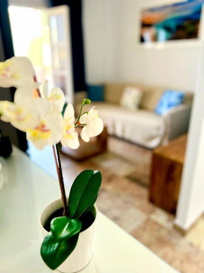 Cosy, New Studio In Costa Adeje Exteriör bild