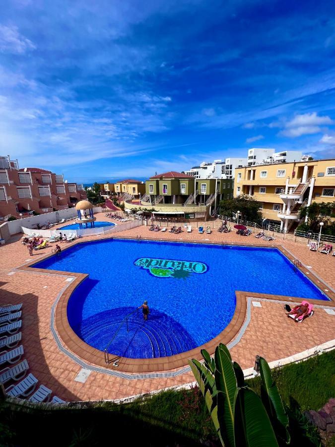 Cosy, New Studio In Costa Adeje Exteriör bild